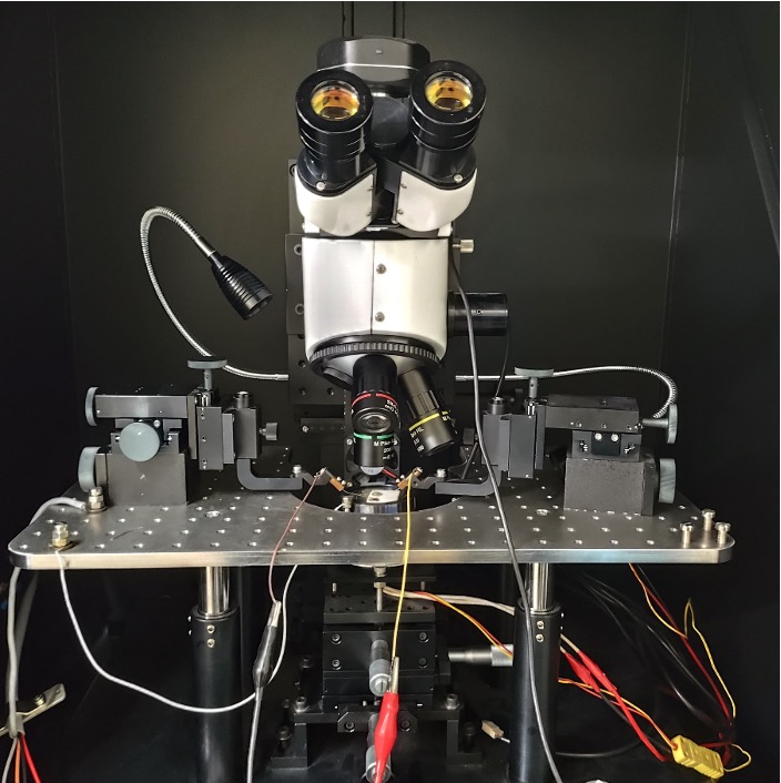 Probe station 1